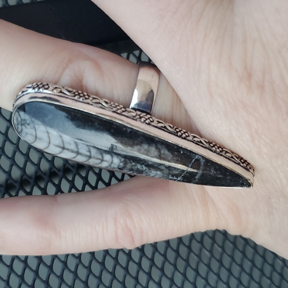 New Oversized Orthoceras Fossil 925 Silver Statement Ring. - Picture 16 of 16